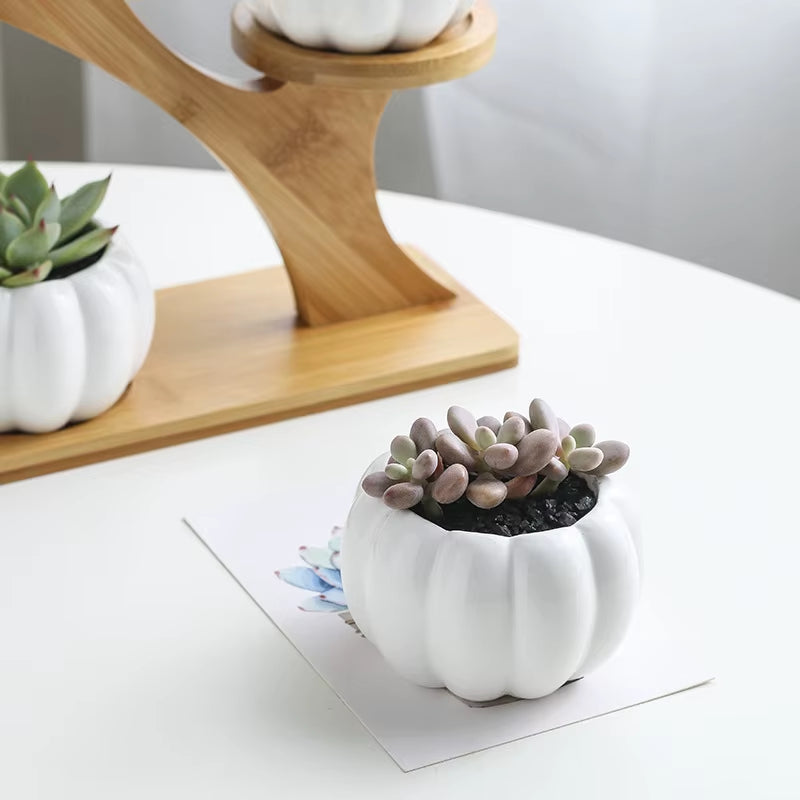 Plant Shelves Flower Display Stand Creative Succulent Plant Owl Pumpkin Bamboo Frame Ceramic Flowerpot Plant Tray