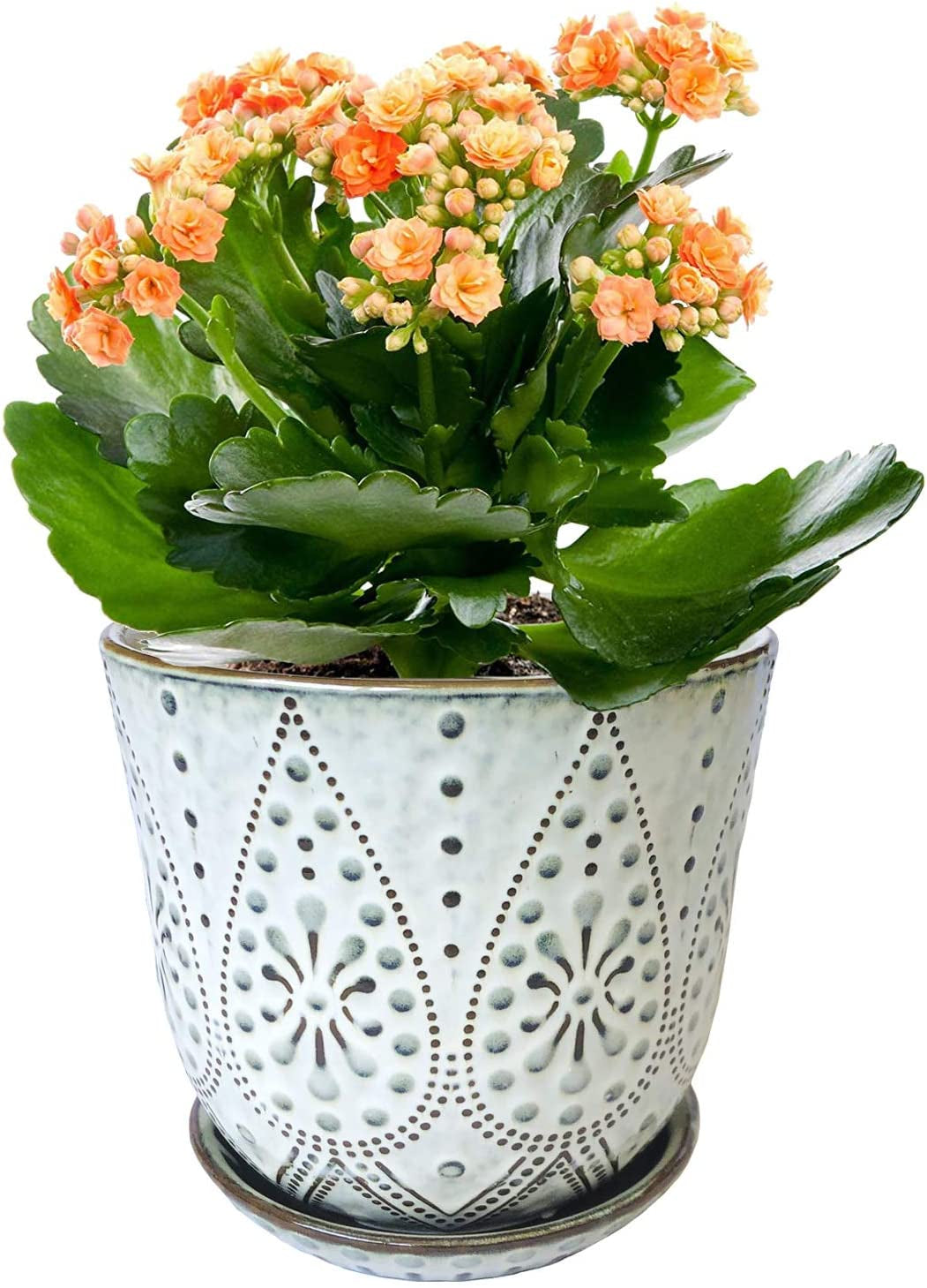 6 Inch Beaded Ceramic Planter Set of 2 with Drainage Hole and Saucer for Plants, Indoor-Outdoor Large round Succulent Orchid Flower Pot (Smoked Gray, Inner-Pots Not Larger than 5 Inch)