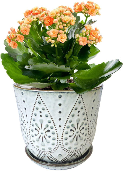 6 Inch Beaded Ceramic Planter Set of 2 with Drainage Hole and Saucer for Plants, Indoor-Outdoor Large round Succulent Orchid Flower Pot (Smoked Gray, Inner-Pots Not Larger than 5 Inch)